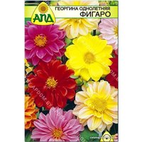 Семена цветов АПД Георгина однолетняя Фигаро 40 шт