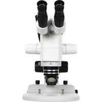 Микроскоп Микромед MC-A-0650 Bino 31304