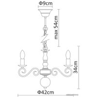 Подвесная люстра Arte Lamp Isabel A1129LM-5AB