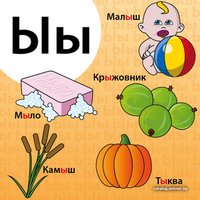 Детская настольная игра ИнтерХит Сундучок Знаний ”Азбука”
