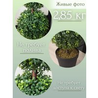 Искусственное растение Merry Bear Home Decor Самшит Шаровидный В Горшке AQ61090