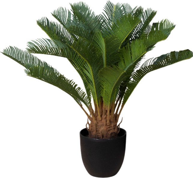 

Искусственное растение Merry Bear Home Decor Пальма Саговая Цикас AR23065