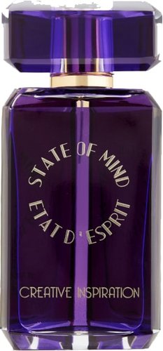 Парфюмерная вода State of Mind Creative Inspiration EdP (100 мл)
