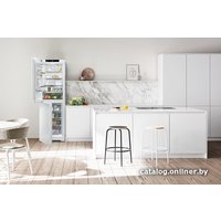 Холодильник Liebherr CNf 5704 Pure