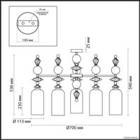 Подвесная люстра Odeon Light Bizet 4893/5C