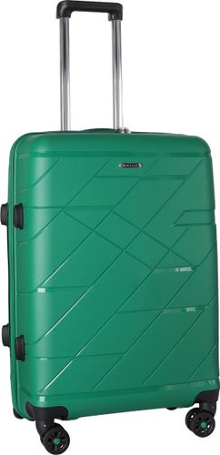 Rion+ 463 (зеленый)