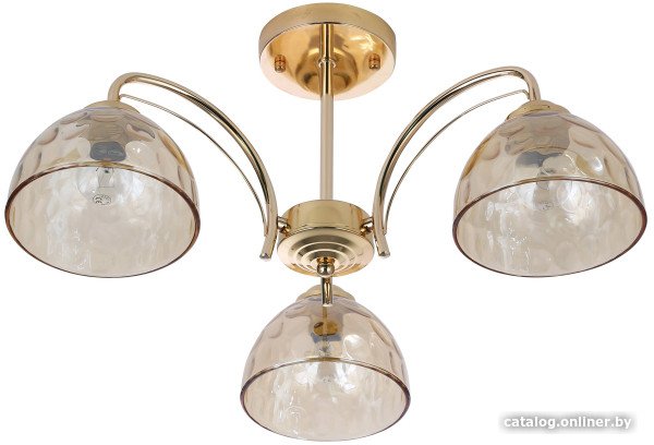 Люстра средней высоты Rivoli Terri 9172-303 Б0060988
