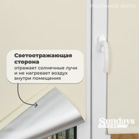 Рулонные шторы Sundays Home LM 168-03 140x170 (молочный)