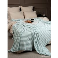 Плед Tex Republic Absolute Зигзаг двухцветный Flannel 200x220 92577 (бирюзовый) в Солигорске