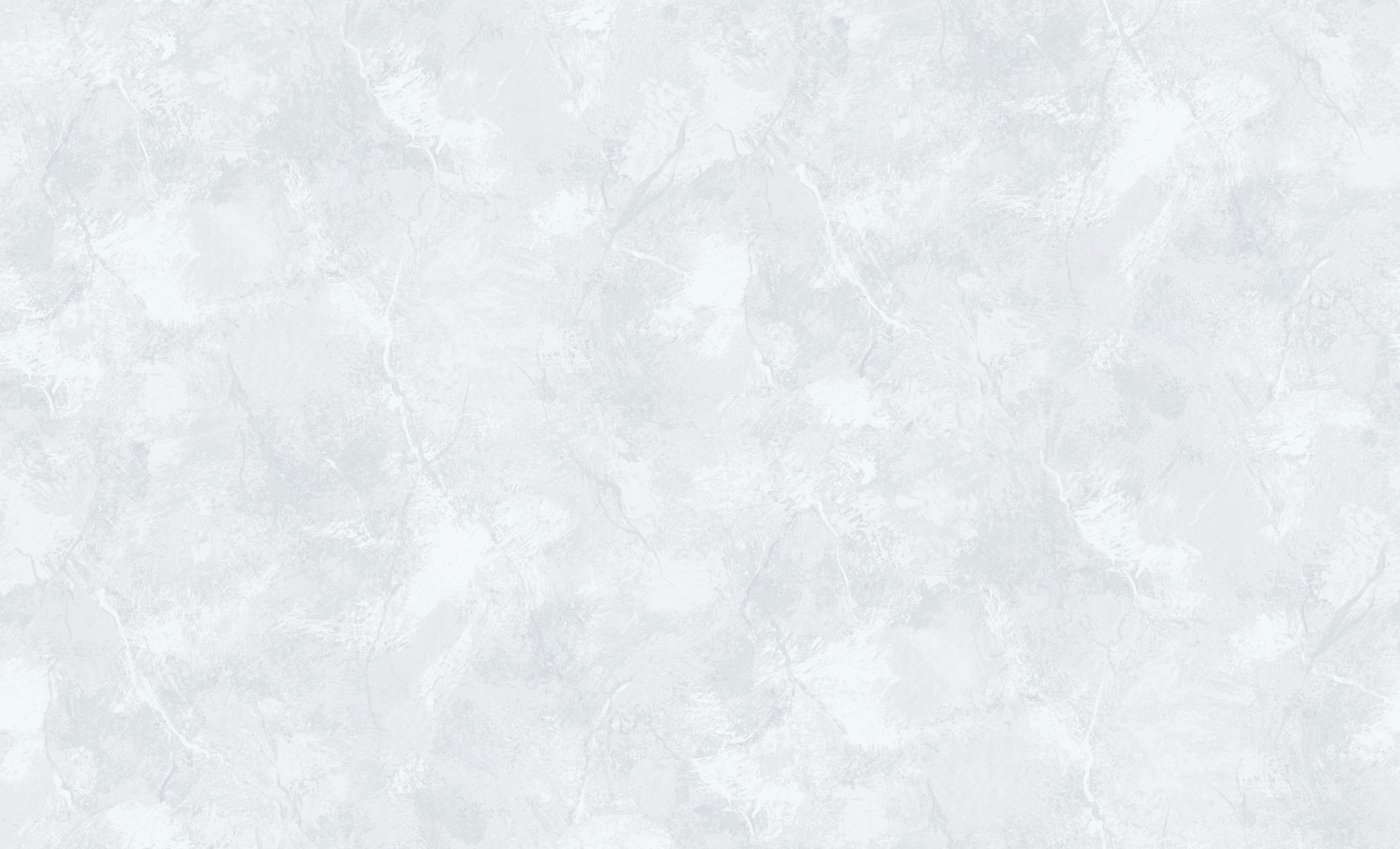 

Виниловые обои Erismann 60765-06
