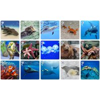 Настольная игра Нескучные игры Ми-Ми-Мемо Морские животные 8053