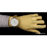 Наручные часы Skagen SKW2137 в Пинске