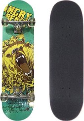 Skateboard 31