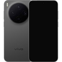 Телефон Vivo X300 V2515 16GB/512GB международная версия (черный)