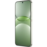 Телефон Huawei nova 13 BLK-LX9 12GB/512GB (дымчатый зеленый) в Борисове