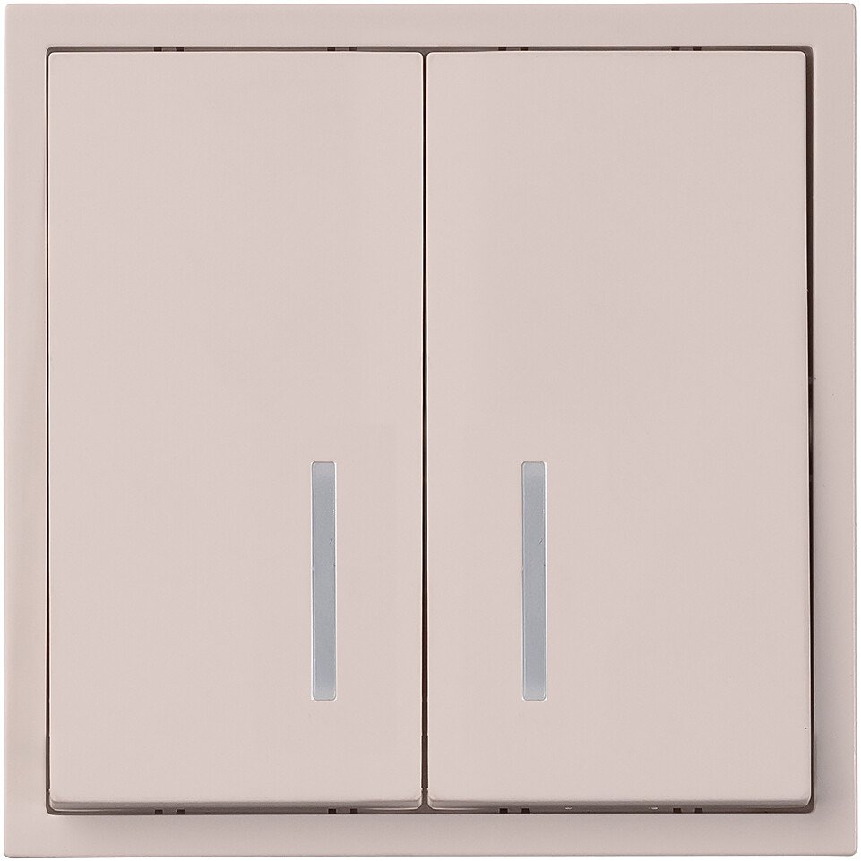 Выключатель SmartBuy Капелла SBE-09i-10-SW2-1