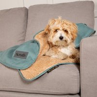 Коврик (подстилка) Scruffs Snuggle 826121 (мятный)