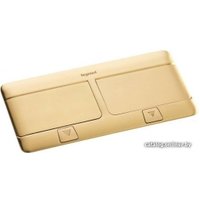 Монтажная коробка (подрозетник) Legrand 54017 (латунь)