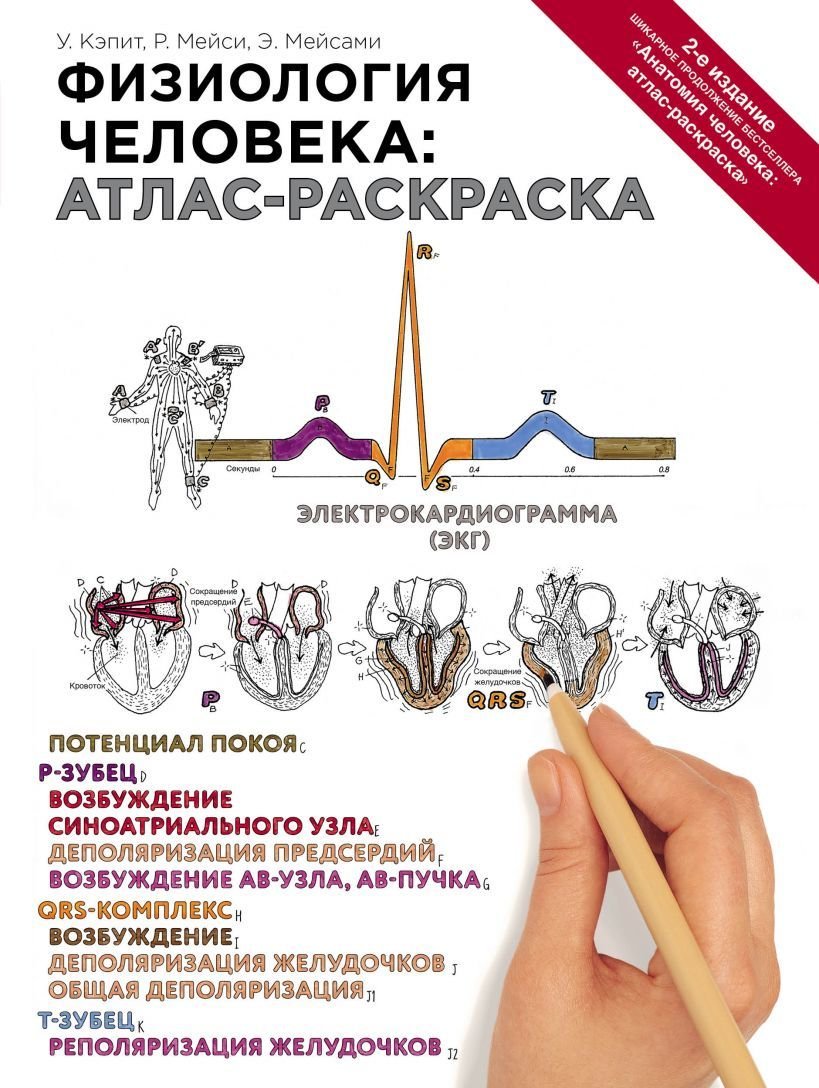 

Книга издательства Эксмо. Физиология человека: атлас-раскраска (Кэпит Уинн/Мейси Роберт И./Мейсами Эсмаил)