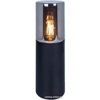 Садовый светильник Arte Lamp Wazn A6218FN-1BK