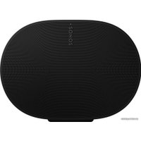 Беспроводная аудиосистема Sonos Era 300 (черный)