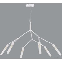 Подвесная люстра Evoluce SLE1129-503-06