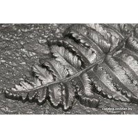 Эмаль Certa Plast 4 кг (графит)