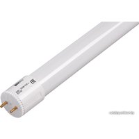 Светодиодная лампочка JAZZway PLED T8 G13 10 Вт 6500 К [PLED T8-600GL 10w FR]