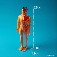 Набор для опытов ND Play Строение тела NDP-119