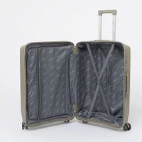 Чемодан-спиннер VALIGETTI 344-2201/3-28GGN (серый)