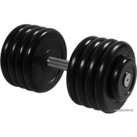 Гантель MB Barbell Профи 43.5 кг (вращающаяся ручка)