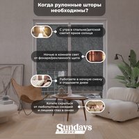 Рулонные шторы Sundays Home LM 97-24 67х160 (темно-серый)