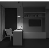 Подвесная люстра Maytoni Technical Plato P076PL-L12W3K-B