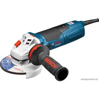 Угловая шлифмашина Bosch GWS 17-125 CIE Professional (060179H003)