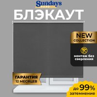 Рулонные шторы Sundays Home LM 167-07 110х160 (темно-серый)