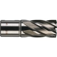 Фреза Milwaukee 4932343276