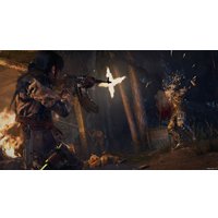  Rise of the Tomb Raider: 20 Year Celebration для PlayStation 4