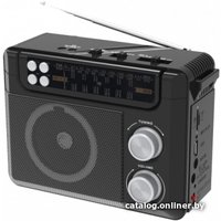 Радиоприемник Ritmix RPR-200 (черный)