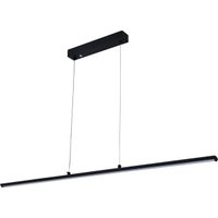 Подвесная люстра Escada 100001/1PL ES0000014L (черный)