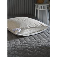 Спальная подушка Andreas Roti Премиум Лен ПСПЛ70х70.2275 (70x70, натуральный)