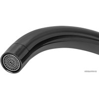 Смеситель ARFEKA AF SD-01SS304 (black grafit)