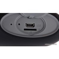 Беспроводная колонка InterStep SBS-110 (черный/серый)