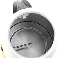 Электрический чайник Brayer BR1018