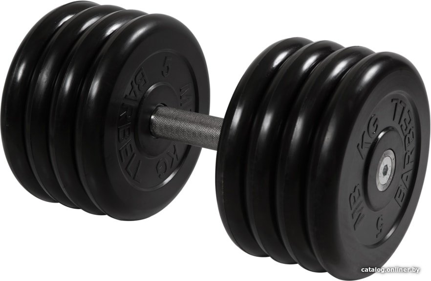 Гантель MB Barbell Профи 41 кг (вращающаяся ручка)