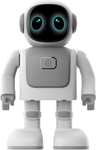 Робот Topjoy Robert RS01