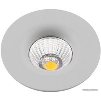 Точечный светильник Arte Lamp Uovo A1427PL-1GY