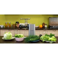 Соковыжималка Hurom Chef GI-SBE08