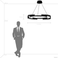 Припотолочная люстра Lightstar Rotonda 736333