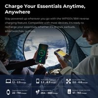 Телефон Oukitel WP100 12GB/512GB (черный/серебристый)