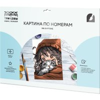 Картина по номерам Три совы Аниме девочка с котом КК_53821